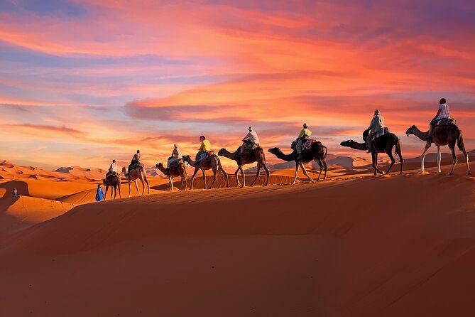 2-Day Tunisia Sahara Desert Camel Trek from Douz - Why two days in the Sahara beats a short camel ride