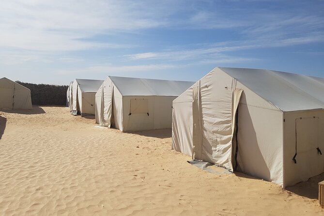 2-Day Tunisia Sahara Desert Camel Trek from Douz - Day one: golden dunes, lunch, and changing light