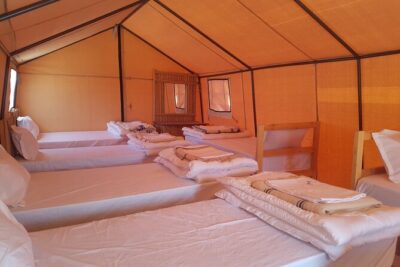 2-Day Tunisia Sahara Desert Camel Trek from Douz