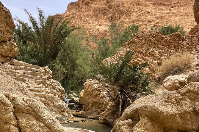 2 Days Tour of the Sahara from Hammamet - Kebili and the oasis route