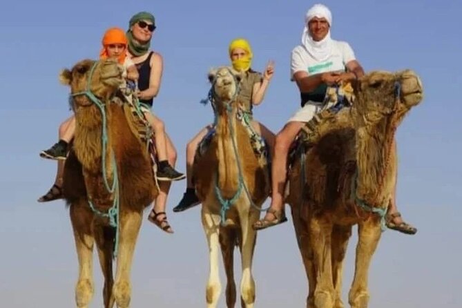 2 Days Tour of the Sahara from Hammamet - El Jem opens with Roman scale