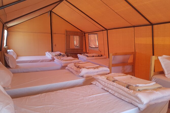 3-Day Tunisia Sahara Desert Camel Trek from Douz - Leaving Douz at 9 a.m. for the golden dunes