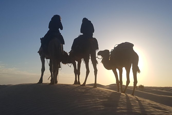 3-Day Tunisia Sahara Desert Camel Trek from Douz - Day two begins with sunrise and Berber breakfast