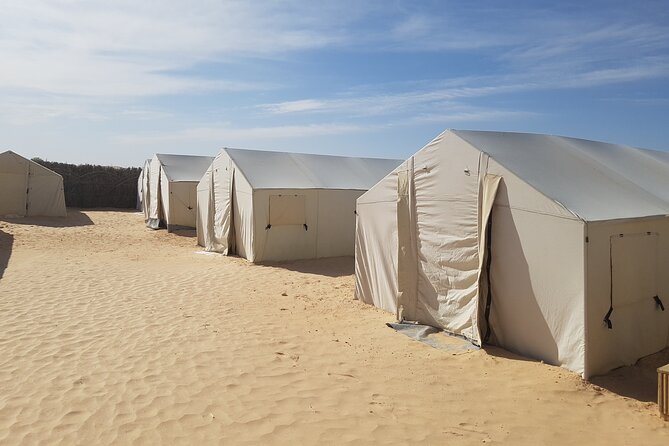 3-Day Tunisia Sahara Desert Camel Trek from Douz - Who will enjoy the camel trek most
