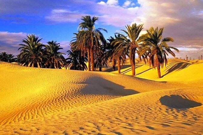 4-Day Private Tour: Sahara and Djerba Island from Tunis and Hammamet - Meals and what the included price really covers