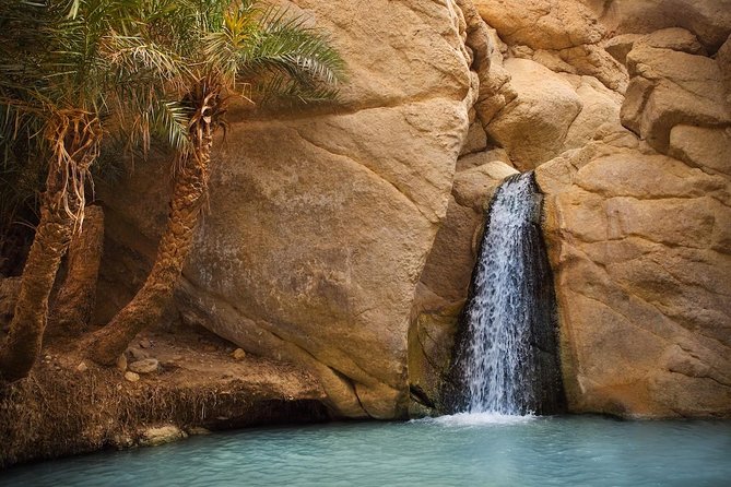 5 Days Tunisia Discovery Private Tour - Day five, Gabes and the return to Tunis