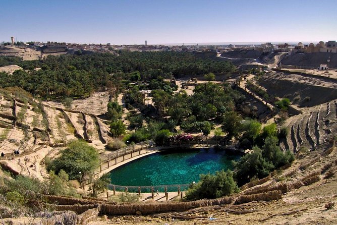 5 Days Tunisia Discovery Private Tour - Meals, hotels, and the level of comfort
