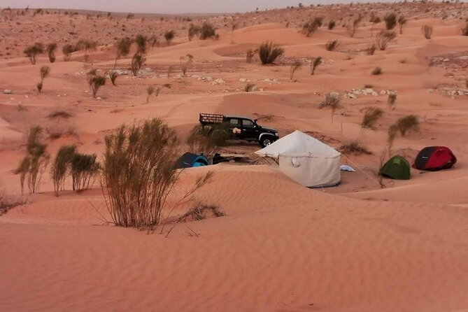 A Private Night at Desert Douz Tozeur - The 6:30 am departure from Hammamet
