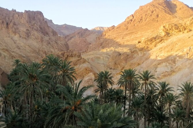 A Private Night at Desert Douz Tozeur - Food, camp comforts, and what the price covers