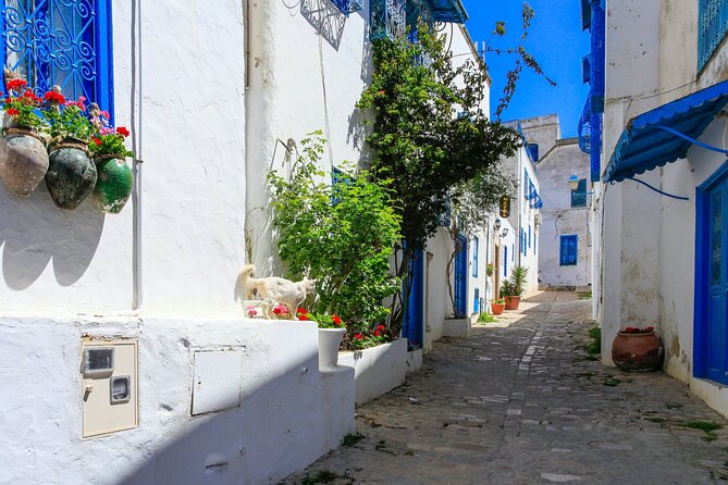 Ancient Carthage and Sidi Bou Said Half Day Tour with Lunch - Who will get the most from this excursion