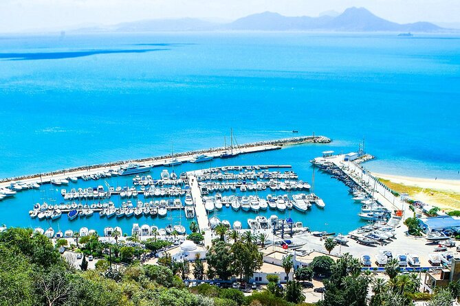 Ancient Carthage and Sidi Bou Said Half Day Tour with Lunch - The guide can make or break the ancient site
