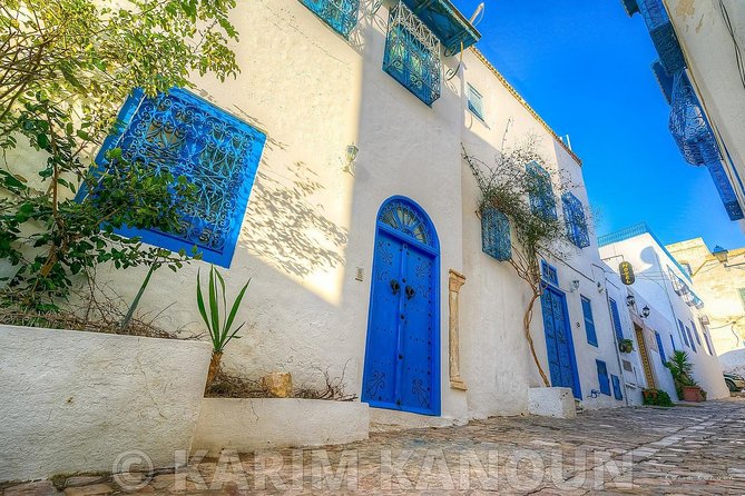 Bardo Museum- The ruins of Carthage- Village of Sidi Bou Said - Four sides of Tunis in one private day