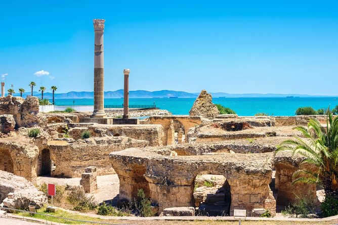 Bardo Museum with Medina, Carthage and Sidi Bou Private Tour - The Bardo Museum: an important collection in a short visit