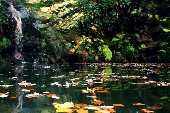 Bulla Regia and Beni Mtir Cascade Daytrip from Tunis - Is $141.36 a fair price?