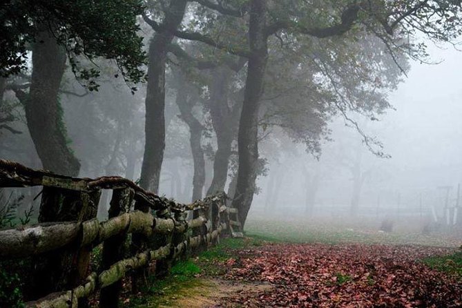 Bulla Regia and Beni Mtir Cascade Daytrip from Tunis - Who will enjoy this day trip most?