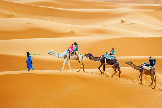 Camel & Quad Combo In Douz Sahara Desert - The camel ride in Sahara clothing
