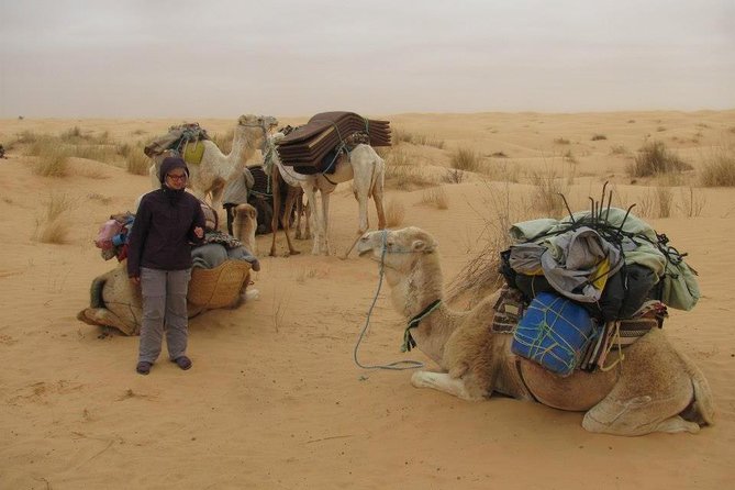 Camel ride and 1 night in the desert - Key points to know before you book