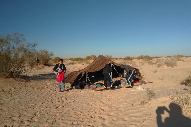 Camel ride and 1 night in the desert - From Tozeur to the strange salt flats of Chott Djerid