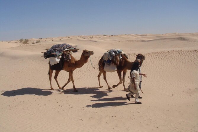 Camel ride and 1 night in the desert - The desert after dark and the value of staying overnight