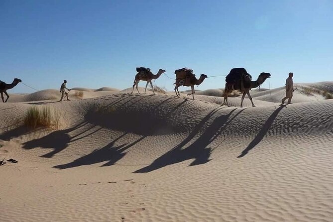 Camel ride and 1 night in the desert - Is $207.20 a fair price?