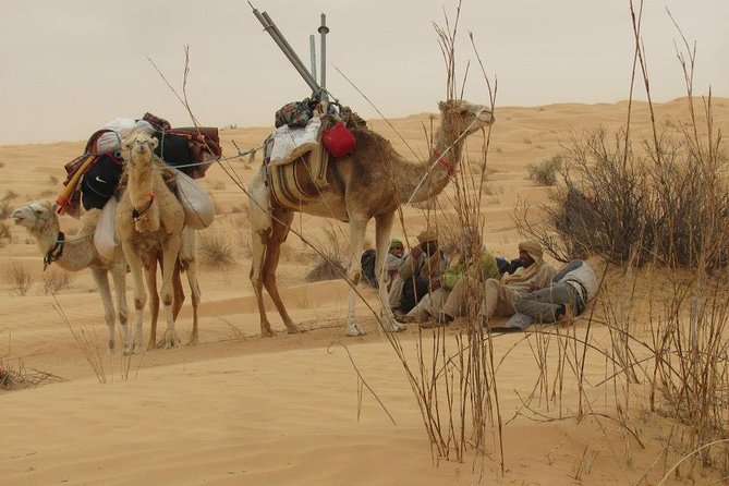 Camel ride and 1 night in the desert - Meeting the cameleer and settling onto the camel