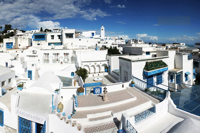 Carthage, Bardo Museum, Sidi Bou Said and Medina Private Day Tour - Why the private car changes the day