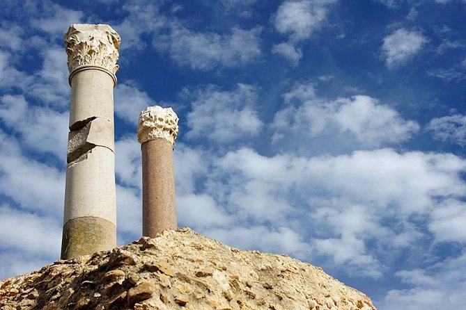 Carthage Discovery Half-Day Tour with Licensed Guide - The Tophet and a difficult ancient question