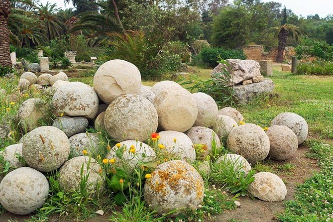 Carthage Discovery Half-Day Tour with Licensed Guide - Carthage Museum near the old acropolis
