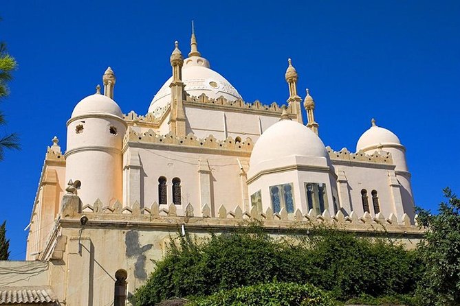 Carthage Discovery Half-Day Tour with Licensed Guide - The Punic Ports and Carthage’s naval power