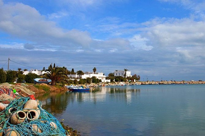 Carthage Discovery Half-Day Tour with Licensed Guide - Is $94.90 a fair price?