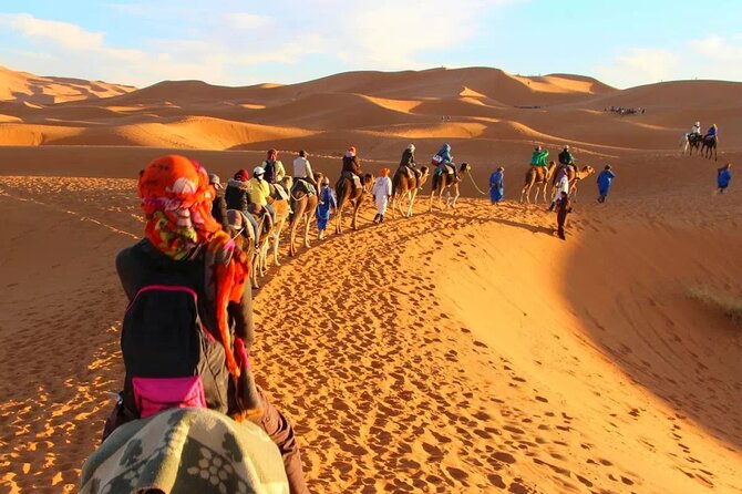 Circuit the south of Tunisia in 2 days Sahara Explorer - El Jem, where Roman Tunisia comes alive