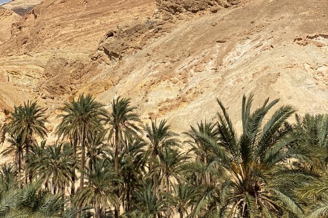 Circuit the south of Tunisia in 2 days Sahara Explorer - Matmata and the Berber homes below ground