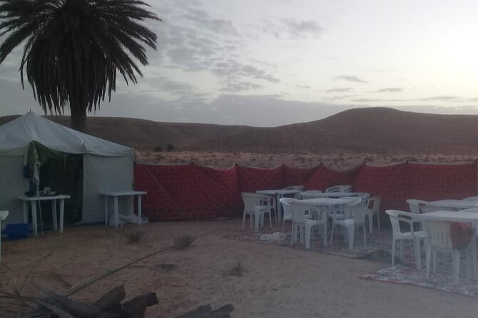 Day Trip in Ksar Ghilane with Lunch and Pickup - Who should book this experience?