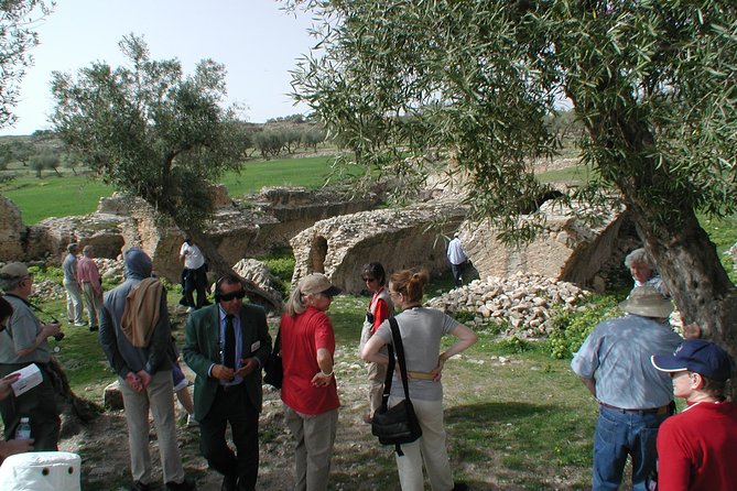 DAY TRIP TO Dougga & Bulla Regia , DEPARTURE FROM Tunis - An early start and a long road from Tunis