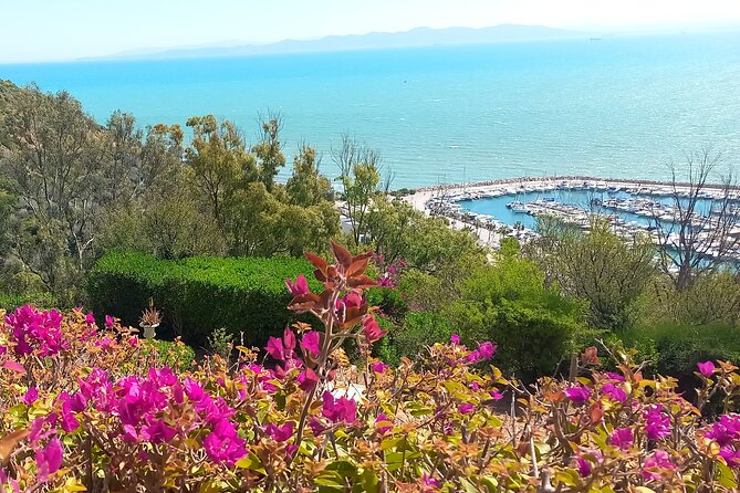 Daytrip Carthage Sidi Bousaid Bardo and Tunis Medina - Starting at Tophet, where Carthage becomes human