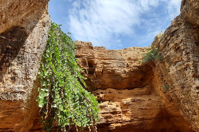 Daytrip to Kerkouen Unesco Site Kelibia and Houaria Caves - Key points to know before booking