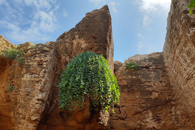Daytrip to Kerkouen Unesco Site Kelibia and Houaria Caves - Is $141.36 per person fair?