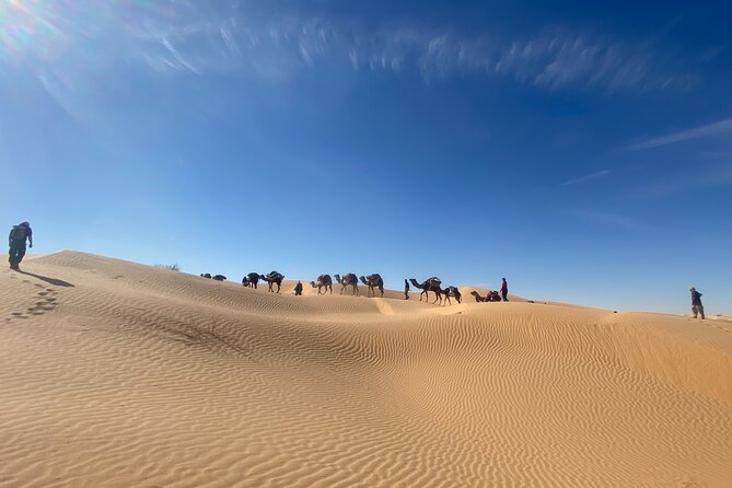 Desert tours and adventurous camel trekking through the Sahara - Nights beside the campfire or under the stars