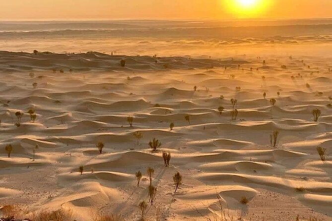 Desert tours and adventurous camel trekking through the Sahara - Why the guide and crew matter
