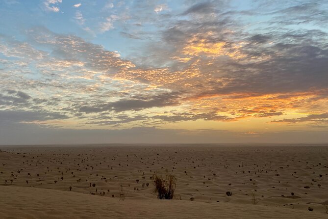 Desert tours and adventurous camel trekking through the Sahara - Who will enjoy this desert journey