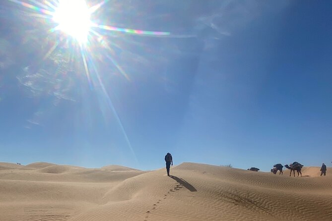 Desert tours and adventurous camel trekking through the Sahara - Returning through Douz and Matmata