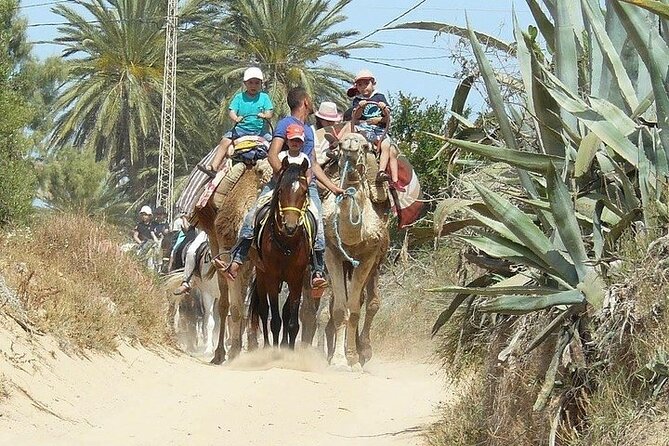 Discovery ride on horseback or camel 2h30 - How the Ride Suits Different Abilities