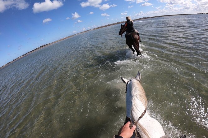 Discovery ride on horseback or camel 2h30 - Animal Care and Guide Support