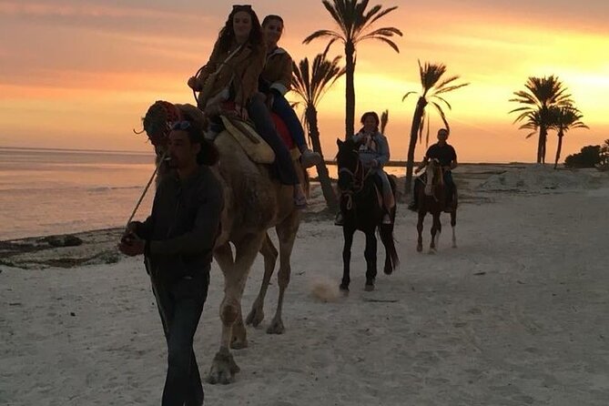 Discovery ride on horseback or camel 2h30 - Who Should Book This Djerba Ride?