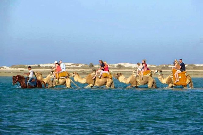 Diving initiation (Initiation) - Starting at Plage Hotel Iris in Djerba
