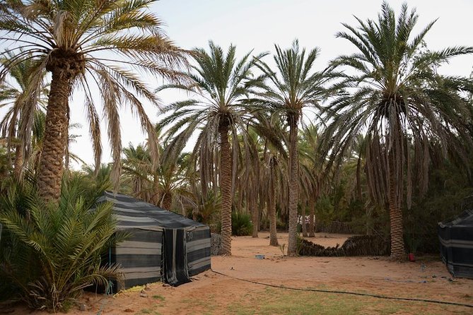 Door of the tunisian desert Ksar Ghilane and Matmata: Full one Day - Is $86.88 good value?