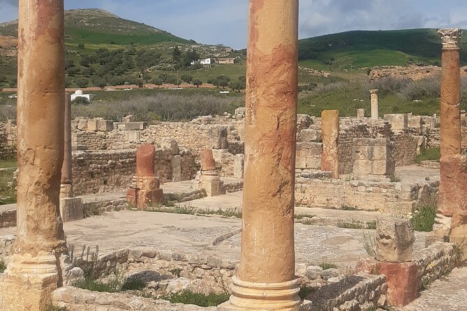 Dougga and Bulla Regia Guided Tour From Tunis - Is $141.36 per person fair?