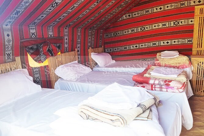 Douz Overnight Camp Stay in Sahara Desert with Dinner By Camel - Who will enjoy this Douz desert stay