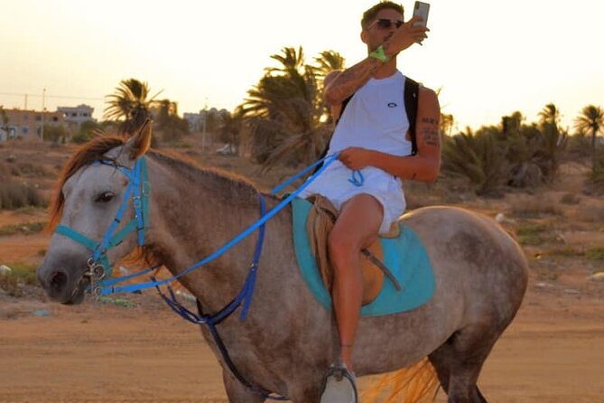 Explore Djerba by camel and horse - Riding from Djerba Midun toward the lagoon