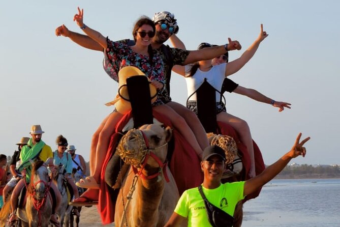 Explore Djerba by camel and horse - The lagoon stop and photo break